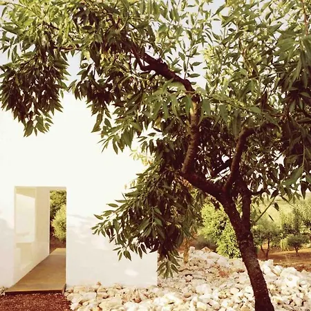 فيلة Vitale